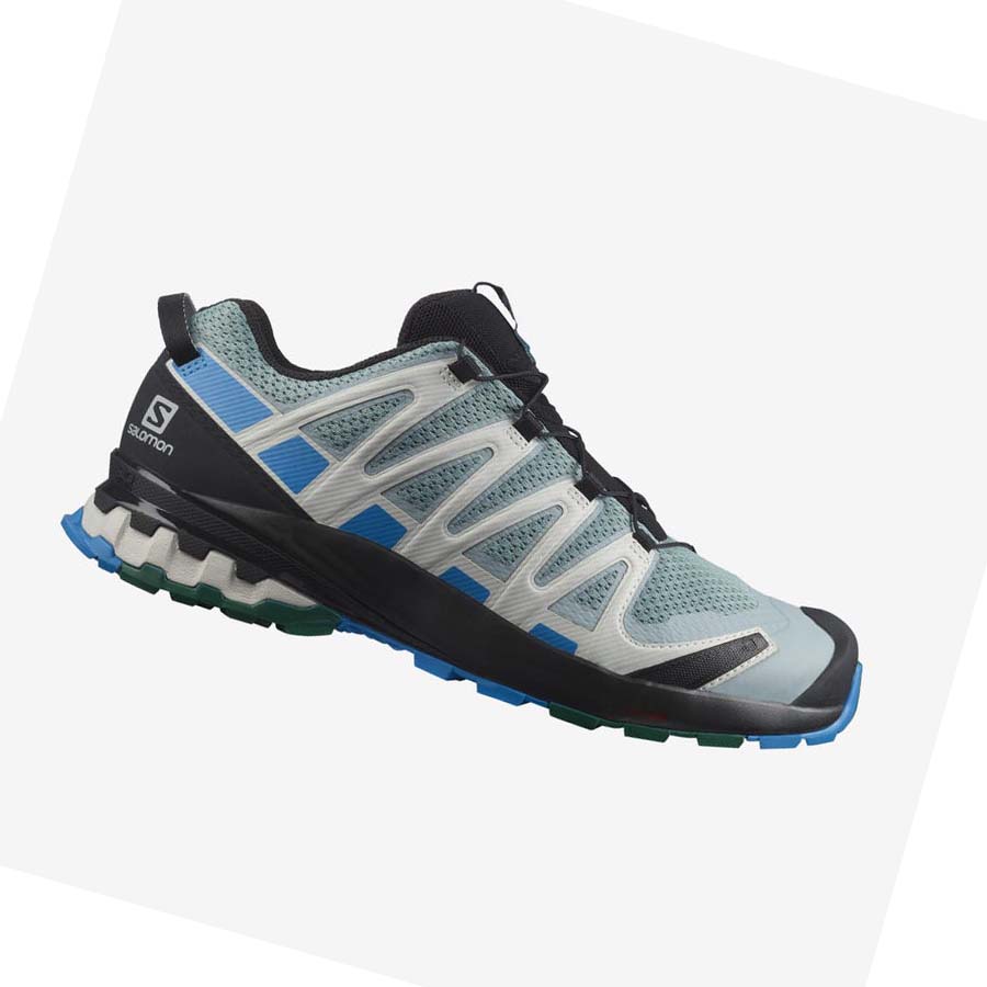 Salomon XA PRO 3D v8 Trail Futócipő Férfi Menta | HU 2099HAP